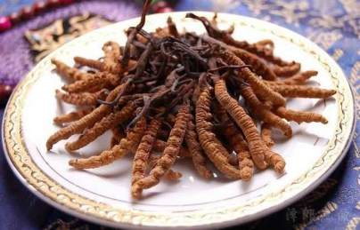 Đông trùng hạ thảo dược thảo đắt nhất thế giới hiện nay (dong trung)
