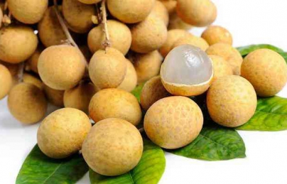 Long nhãn công dụng cách dùng trong các đơn thuốc bồi bổ