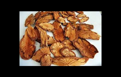 Cây huyết rồng, hồng đằng, kê huyết đằng, dây máu (hoang dang)