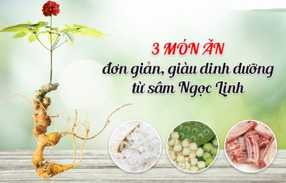 3 món ăn đơn giản từ sâm Ngọc Linh giúp bồi bổ sức khỏe