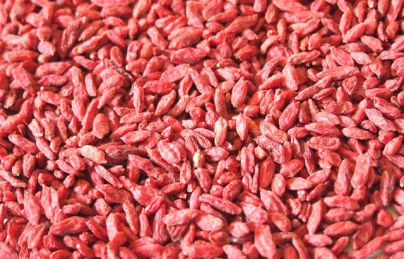 Câu kỷ tử vị thuốc quý điều trị chứng di mộng tinh