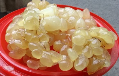 Mỡ trăn điều trị bỏng, triệt lông cực tốt