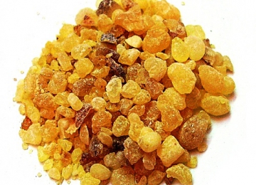 Nhũ Hương 