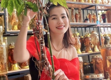 Sâm Ngọc Linh 