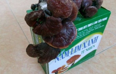 Bạn muốn tìm một phương pháp để phòng tránh ĐỘT QUỴ có thể xảy ra bất cứ khi nào Bạn muốn tìm một phương pháp để phòng tránh ĐỘT QUỴ có thể xảy ra bất cứ khi nào