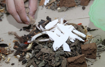 CAN KHƯƠNG THƯƠNG TRUẬT THANG GIA GIẢM CAN KHƯƠNG THƯƠNG TRUẬT THANG GIA GIẢM