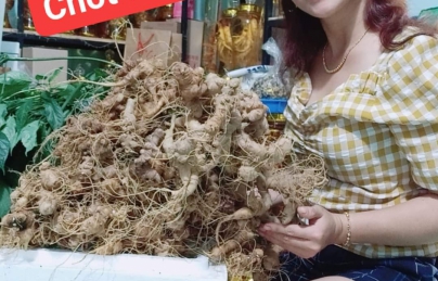 Chốt Sâm 3-9-2021 Chốt Sâm 3-9-2021