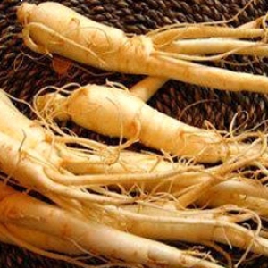 Sâm Hàn Quốc Sâm Hàn Quốc