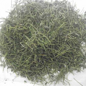 Giảo Cổ Lam Quảng Nam Giảo Cổ Lam Quảng Nam