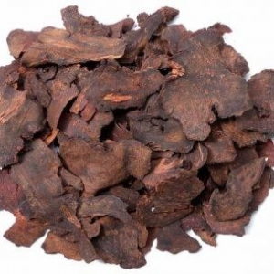 Hà thủ ô đỏ Hà thủ ô đỏ