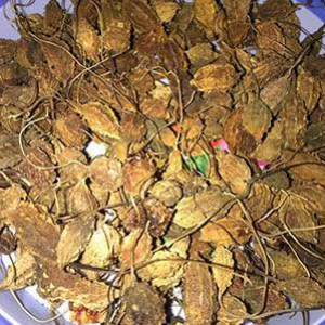 Khổ Qua Rừng Khô Khổ Qua Rừng Khô