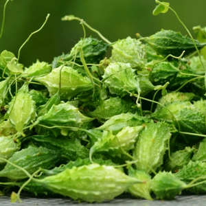 Khổ Qua Rừng Tươi Khổ Qua Rừng Tươi