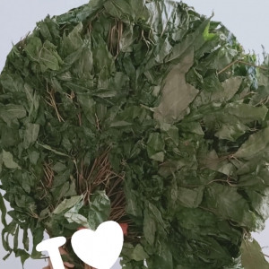 Lá Sâm Ngọc Linh Kon Tum Sấy Khô Lá Sâm Ngọc Linh Kon Tum Sấy Khô