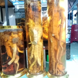 Rượu Đinh Lăng Rượu Đinh Lăng