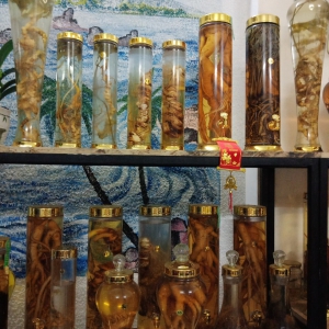 Rượu dược liệu cực tốt cho sức khỏe Rượu dược liệu cực tốt cho sức khỏe