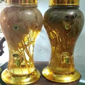 Rượu Lá Sâm Ngọc Linh Rượu Lá Sâm Ngọc Linh
