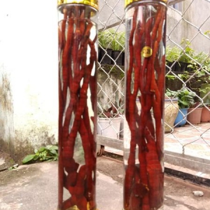 Rượu Linh Chi Sừng Hưu Rượu Linh Chi Sừng Hưu