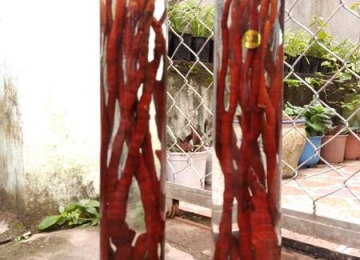 Rượu Linh Chi Sừng Hưu Rượu Linh Chi Sừng Hưu