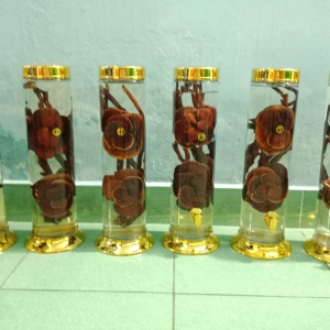 Rượu Nấm Lim Xanh Rượu Nấm Lim Xanh