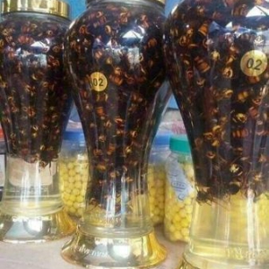 Rượu Ong Bắp Cày Rượu Ong Bắp Cày