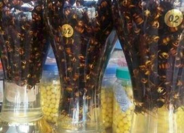 Rượu Ong Bắp Cày Rượu Ong Bắp Cày