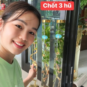 Rượu Sâm Rượu Sâm