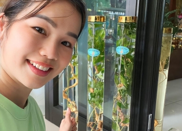 Rượu Sâm Rượu Sâm