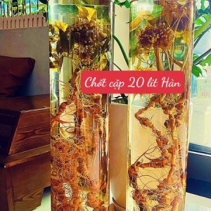 Rượu Sâm Rượu Sâm