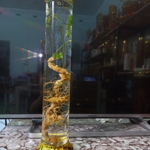 Rượu Sâm NGọc Linh Quảng Nam Rượu Sâm NGọc Linh Quảng Nam