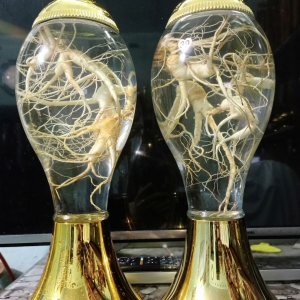 Rượu Sâm Núi Trường Bạch Rượu Sâm Núi Trường Bạch