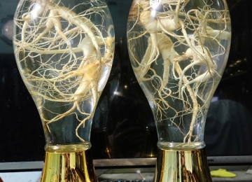 Rượu Sâm Núi Trường Bạch Rượu Sâm Núi Trường Bạch