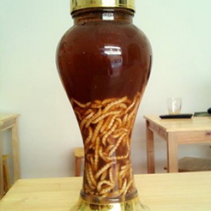 Rượu Sâu chít Tây Bắc Rượu Sâu chít Tây Bắc