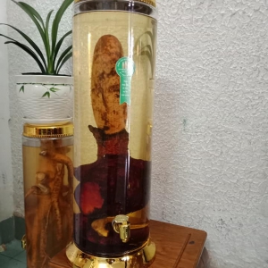 Rượu tích dương Rượu tích dương