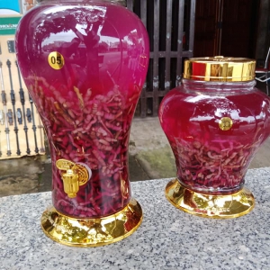 Rượu Viễn Chí Rượu Viễn Chí