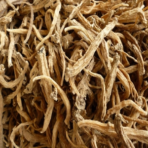 Sâm Dây Ngọc Linh Quảng Nam ( Đảng Sâm) Sâm Dây Ngọc Linh Quảng Nam ( Đảng Sâm)