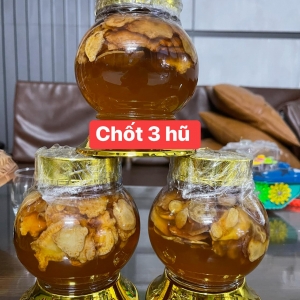 Sâm mật ong Sâm mật ong