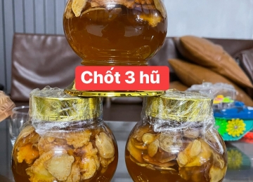 Sâm mật ong Sâm mật ong