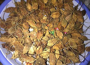 Trà KHỔ QUA RỪNG KHÔ Trà KHỔ QUA RỪNG KHÔ