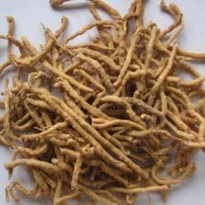 Viễn chí Viễn chí